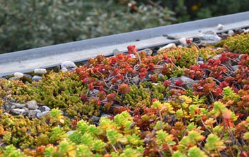 the cost of Lower Tregunnon green roof installation