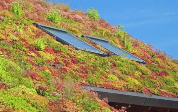 Lower Tregunnon living roof systems